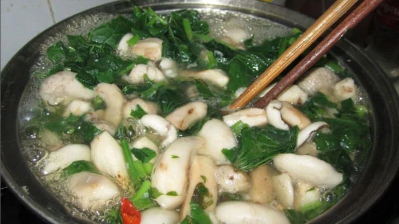 Đảm bảo nấm tràm được nấu chín kỹ trước khi ăn
