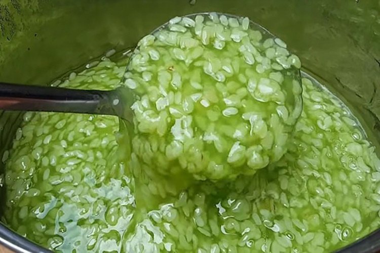 Đang nấu chè cốm khô trên bếp với lá dứa