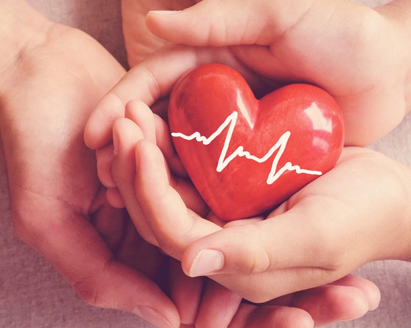 Đạp xe đạp thể dục cải thiện sức khỏe tim mạch