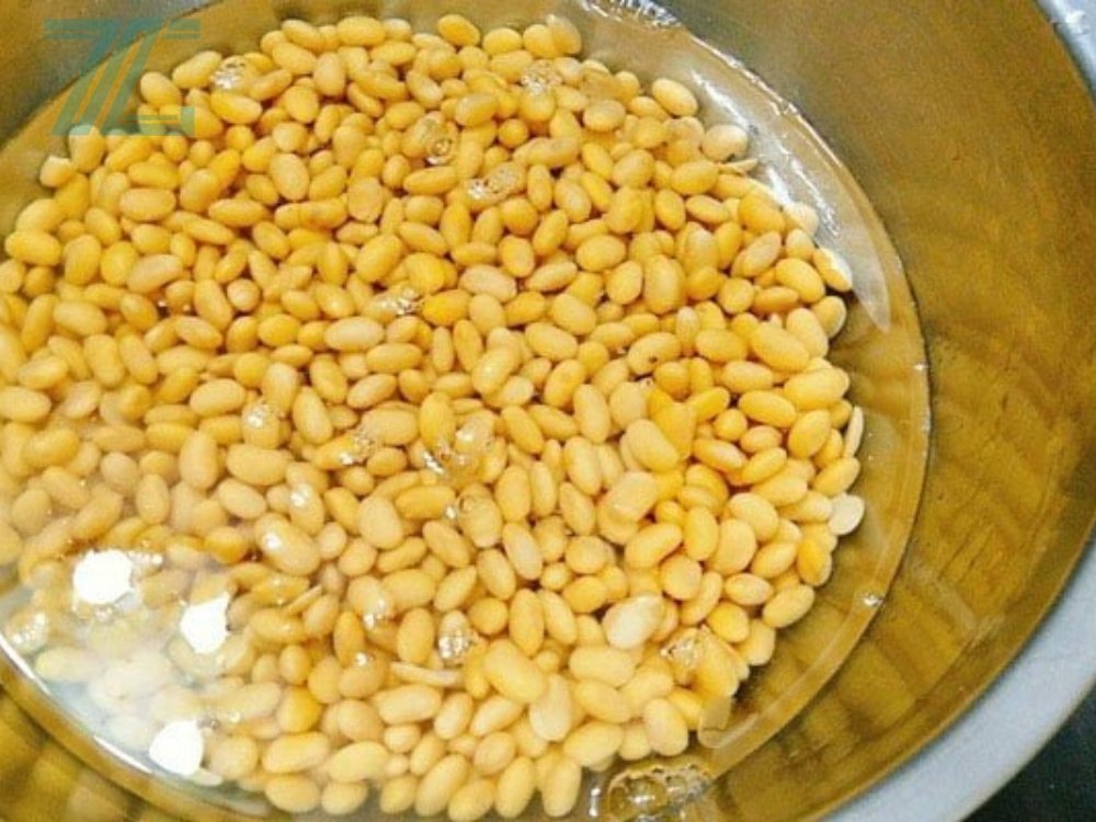 Đậu nành đã ngâm và sơ chế