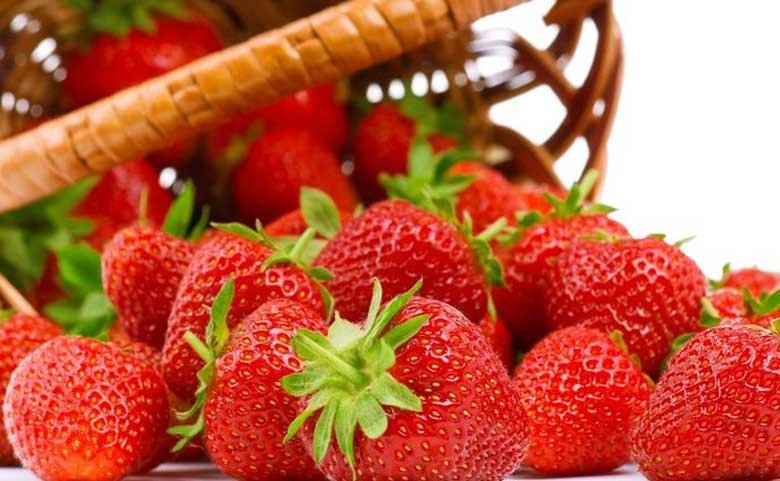 Dâu tây tươi giàu vitamin C và chất chống oxy hóa