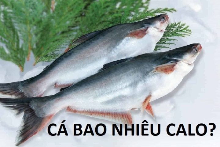 Đĩa cá tươi ngon với rau thơm, minh họa lượng calo trong cá