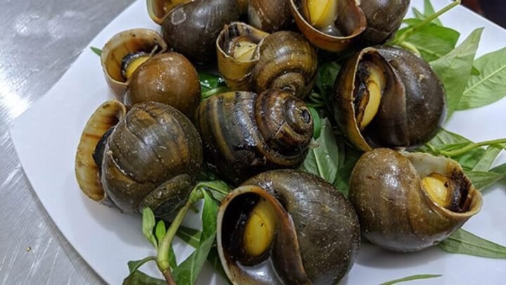 Đĩa ốc bươu luộc hấp dẫn và bảng calo 100g thịt ốc bươu