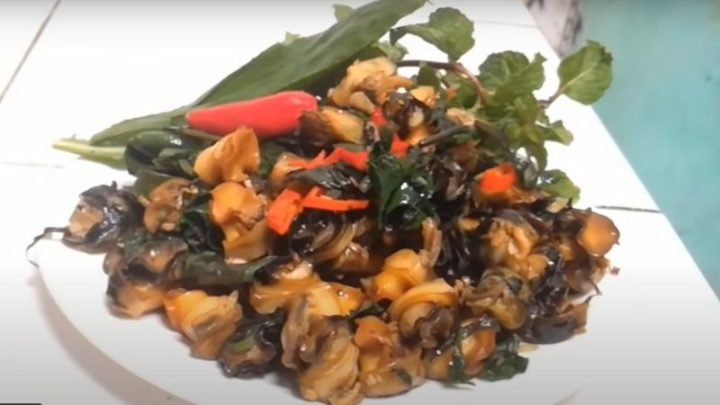 Đĩa ốc xào lá lốt thơm ngon, hấp dẫn