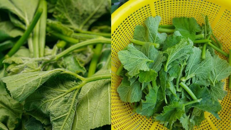 Đĩa rau bí luộc với 100g ước tính chứa 45 calo