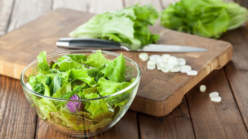 Đĩa rau xà lách xanh tươi cung cấp chất xơ và vitamin dồi dào