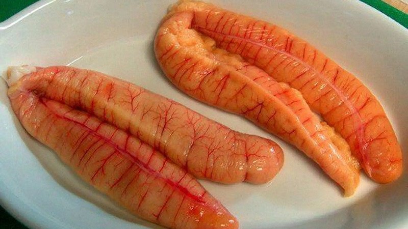 Đĩa trứng cá và thông tin 100g trứng cá bao nhiêu calo