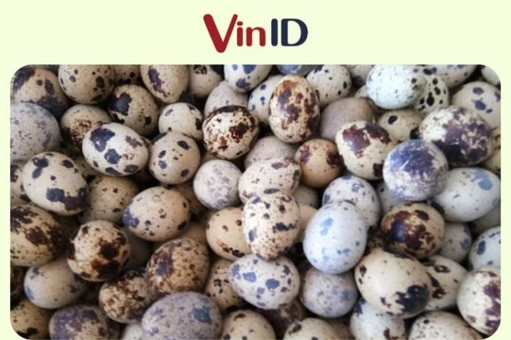 Dĩa trứng cút lộn luộc hấp dẫn với rau răm và gừng, biểu tượng của món ăn giàu dinh dưỡng