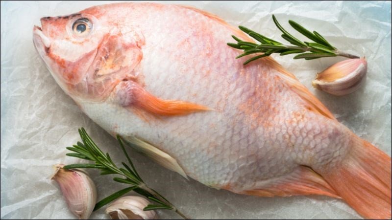 Dinh dưỡng cá diêu hồng hỗ trợ giảm cân