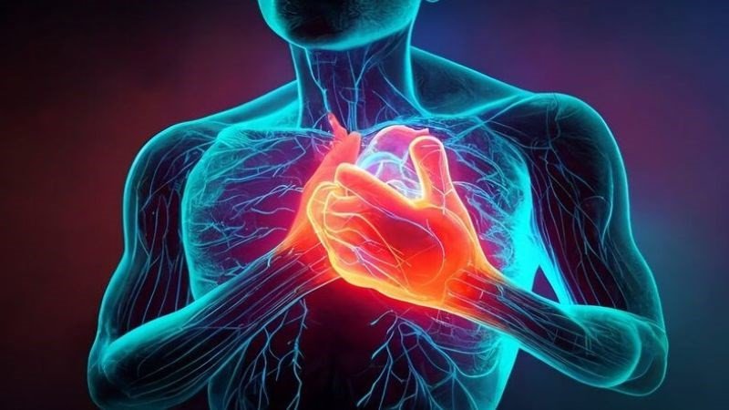 Đỗ đen có nhiều chất có lợi cho tim mạch