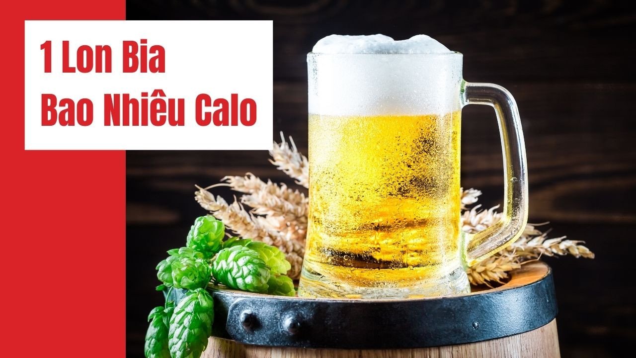 Đồ họa thông tin về các loại bia và lượng calo trong bia, giúp người đọc hình dung năng lượng bia