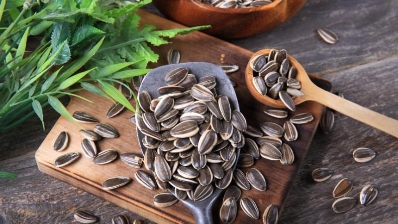 Đống hạt hướng dương lớn, cảnh báo về việc tiêu thụ quá mức và những tác hại tiềm ẩn về calo
