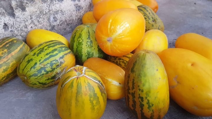 Dưa bở bổ đôi tươi ngon, minh họa giá trị dinh dưỡng thấp calo của dưa bở