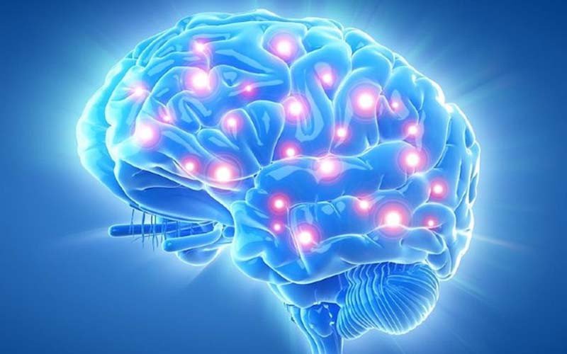 Dừa khô cải thiện chức năng não bộ
