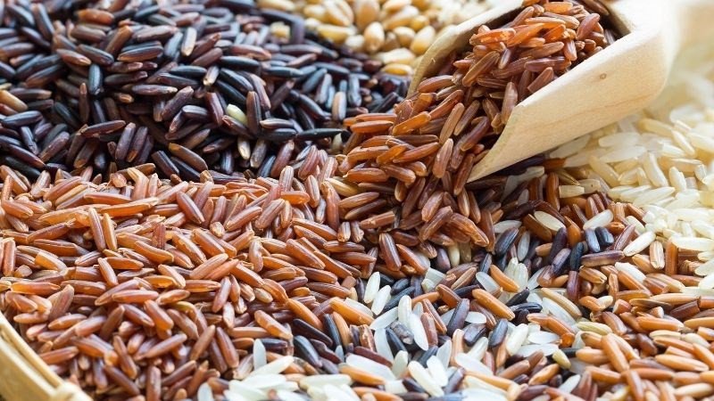 Gạo lứt giàu sắt ngăn ngừa thiếu máu hiệu quả