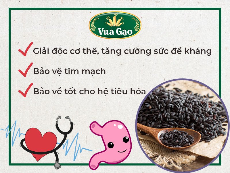 Cách Nấu Xôi Nếp Cẩm Bằng Nồi Hấp Mềm Dẻo Tại Nhà Gạo nếp cẩm chứa nhiều công dụng bất ngờ tốt cho sức khỏe