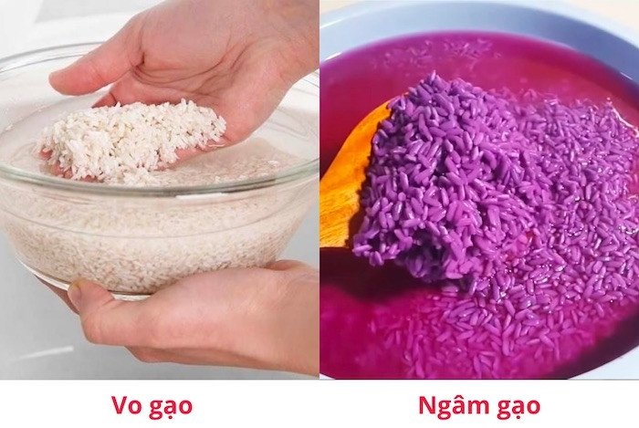 Gạo nếp được ngâm trong nước lá cẩm để chuẩn bị nấu xôi lá cẩm thơm ngon