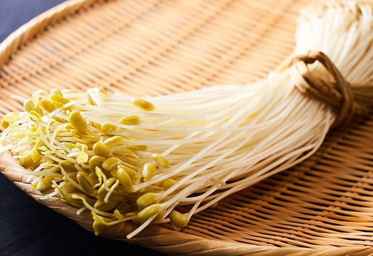 Giá đỗ xanh tươi tự nhiên giàu dưỡng chất