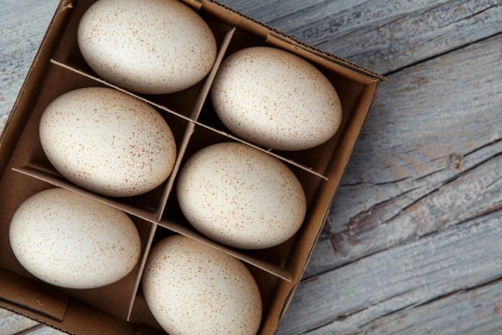 2 Quả Trứng Gà Ta Bao Nhiêu Calo? Phân Tích Dinh Dưỡng Chi Tiết Giá trị calo của 2 quả trứng gà ta bao nhiêu calo còn phụ thuộc vào kích cỡ và cách chế biến