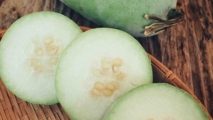 Giá trị calo trong 100g bí đao tươi, thành phần chính của canh bí đao