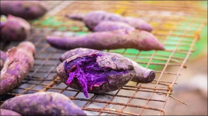 Giá trị calo trong 100g khoai lang tím luộc