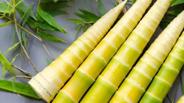 Giá trị calo trong 100g măng tươi và măng khô