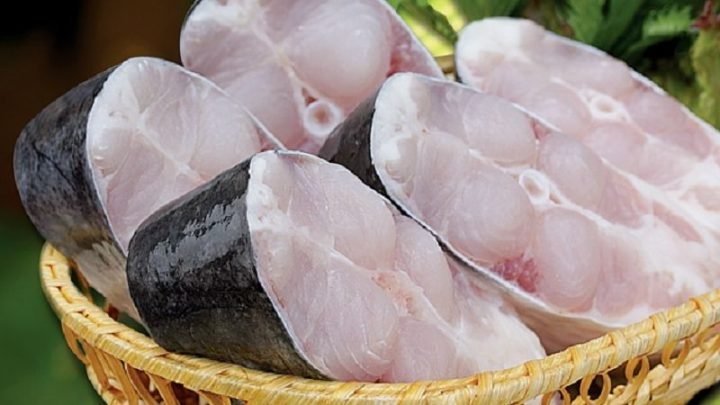 Giá trị dinh dưỡng của 100g cá basa tươi