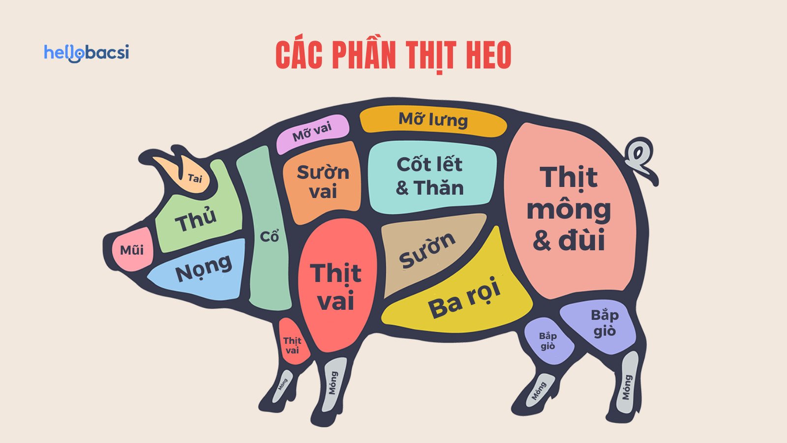 Giá trị dinh dưỡng của 100g tai heo và các phần thịt heo