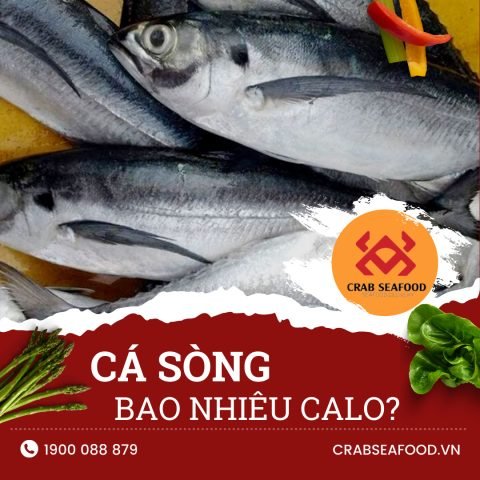 Giá trị dinh dưỡng của cá sòng