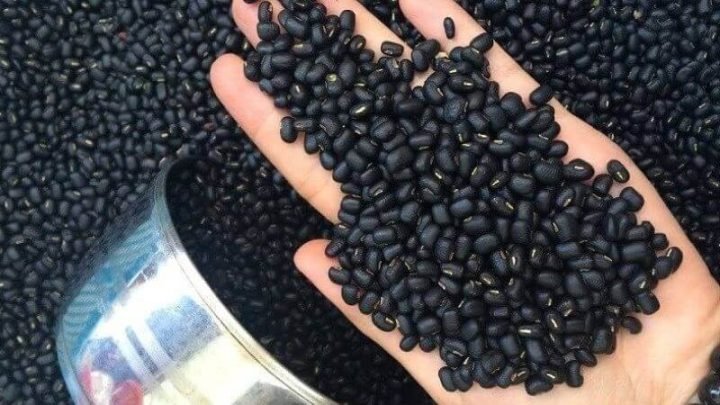 Giá trị dinh dưỡng của đỗ đen