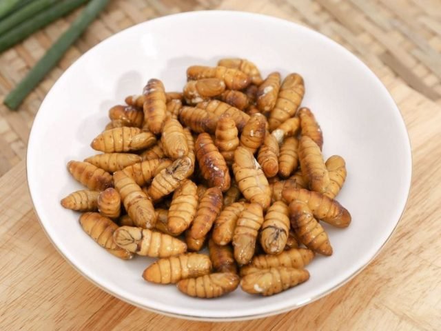 Giá trị dinh dưỡng của nhộng tằm bao nhiêu calo và các vitamin thiết yếu