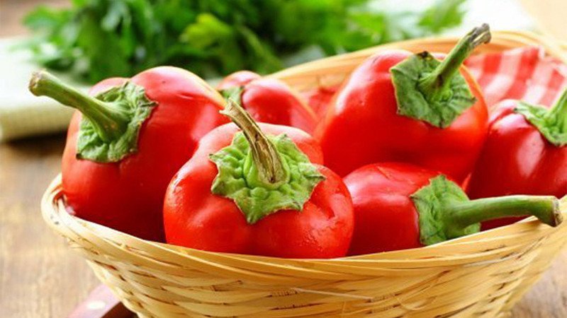 Giá trị dinh dưỡng của ớt socola đỏ