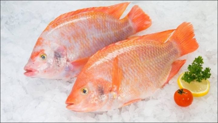 Giá trị dinh dưỡng và calo cá diêu hồng tươi nguyên con