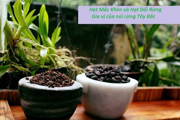 Gia vị đặc trưng Tây Bắc