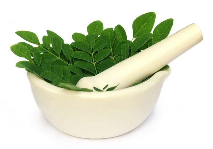 Gỏi rau chùm ngây tôm thịt thanh mát