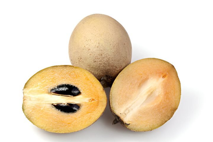 Hàm lượng Calo trong 100g Quả Sapo Tươi Nguyên Chất