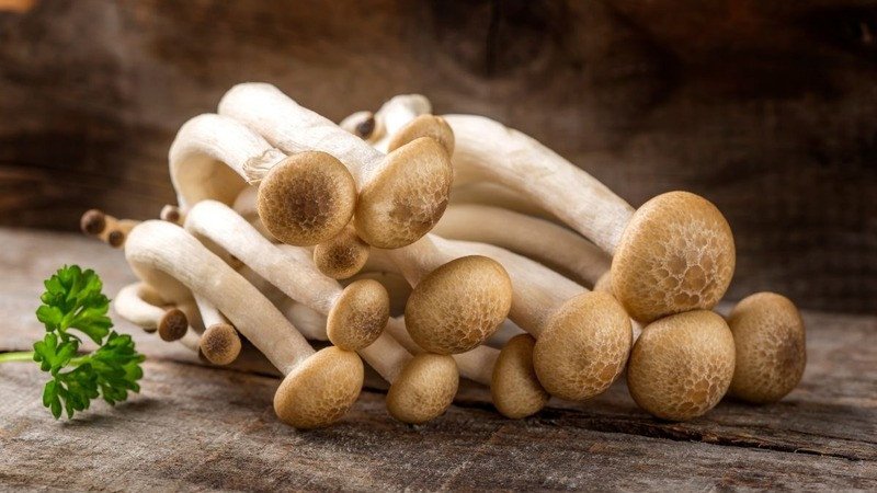 Hàm lượng calo trong nấm bạch tuyết
