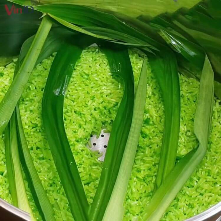 Hấp xôi lá dứa đều tay để hạt nếp dẻo mềm