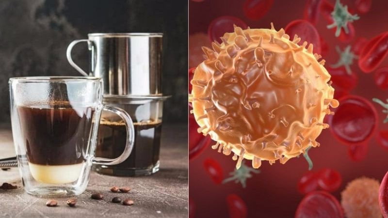 Hạt cà phê tươi, biểu tượng cho khả năng giảm nguy cơ ung thư khi sử dụng G7 hợp lý