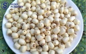 Cách Bảo Quản Hạt Sen Đã Nấu Chín Luôn Tươi Ngon Chuẩn Vị Hạt sen đã nấu chín được bảo quản trong hộp kín, minh họa cho thời gian bảo quản hạt sen.
