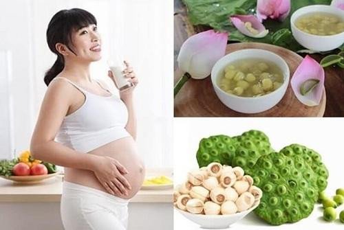 Hạt sen khô mang lại nhiều lợi ích sức khỏe