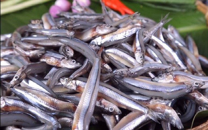Hình ảnh minh họa 100g cá cơm tươi và thông tin calo, làm cơ sở để tính toán cá cơm kho tiêu bao nhiêu calo