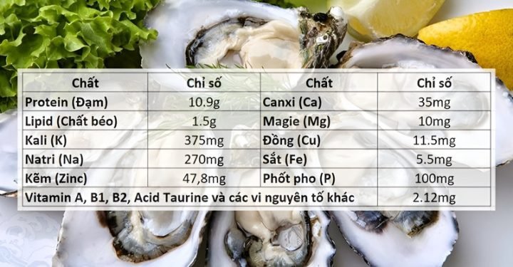 Hình ảnh minh họa giá trị dinh dưỡng và hàu sữa bao nhiêu calo trong 100g hàu tươi