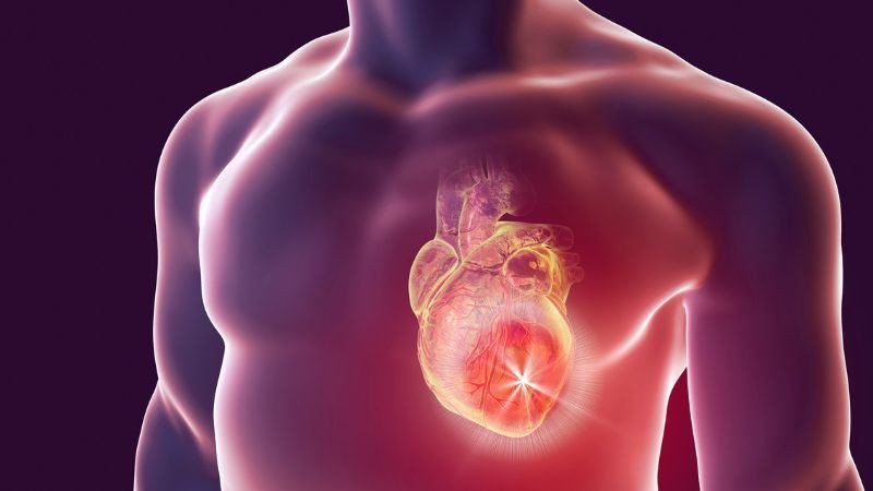Hình ảnh mô phỏng tim mạch bị ảnh hưởng, cảnh báo về nguy cơ sức khỏe khi ăn nhiều bánh lỗ tai heo