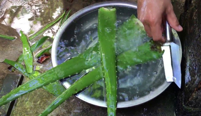 Hình ảnh nha đam đã gọt vỏ, cắt miếng vuông đang được ngâm nước muối chanh để sơ chế làm chè đậu xanh