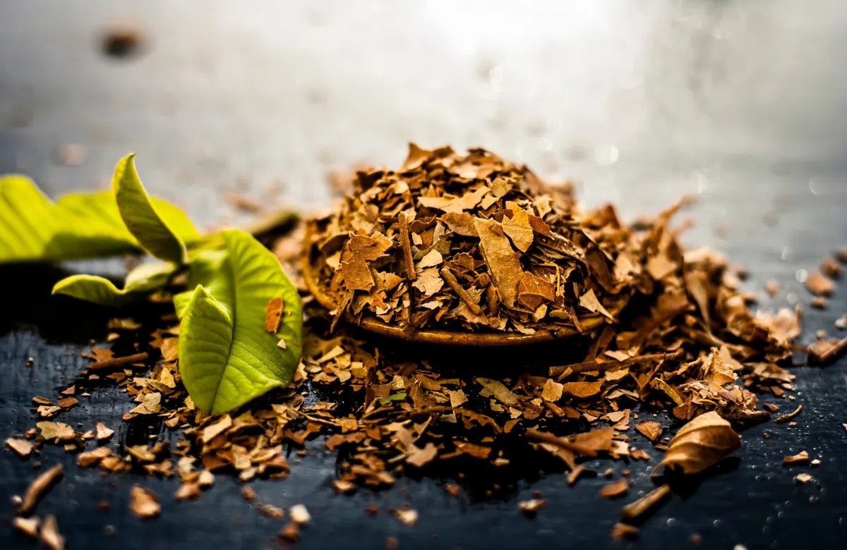 Hình ảnh nước lá ổi vàng óng trong cốc thủy tinh, bên cạnh là một ấm trà và một nắm lá ổi tươi, minh họa cho quá trình pha chế nước lá ổi
