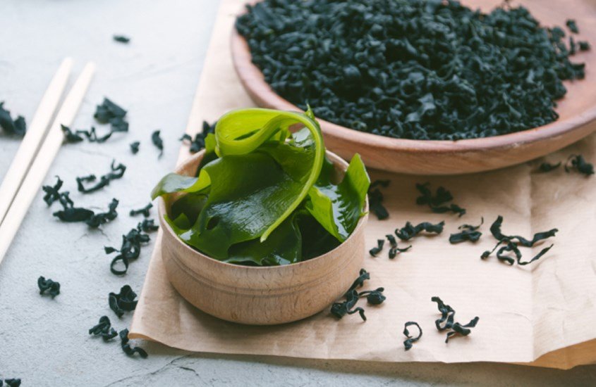 Hình ảnh rong biển tươi nguyên chất, minh họa hàm lượng calo trong rong biển