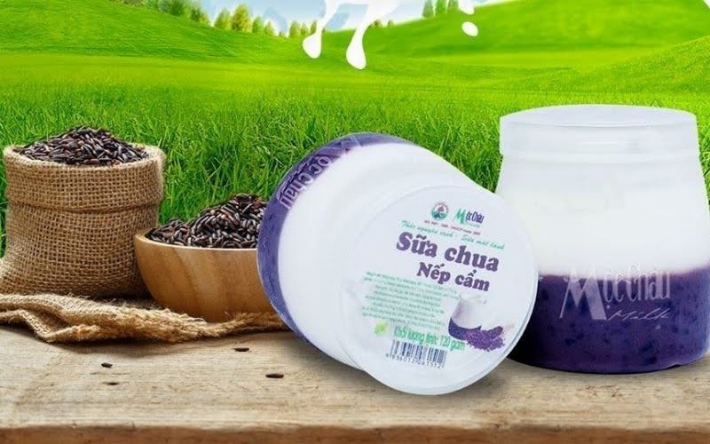 Hình ảnh sữa chua Mộc Châu đa dạng hương vị, minh họa cho nguồn dinh dưỡng dồi dào và lợi ích sức khỏe.