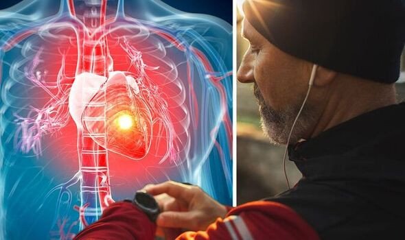 hoa đu đủ đực tươi bảo vệ tim mạch
