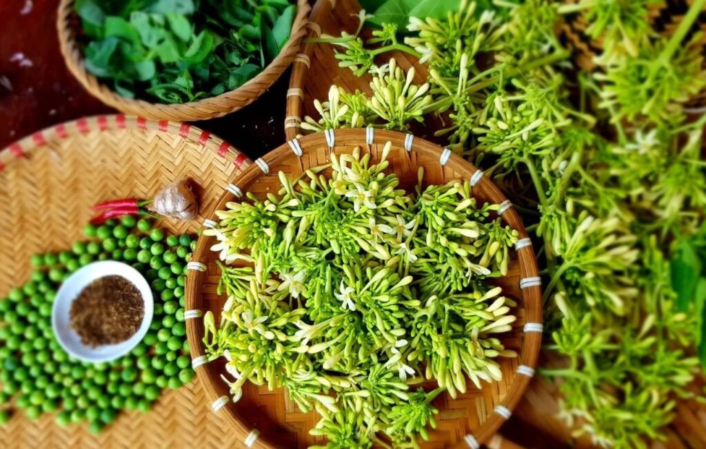 Cách Nấu Nước Hoa Đu Đủ Đực Tươi Uống Đơn Giản, Hiệu Quả hoa đu đủ đực tươi chứa nhiều dưỡng chất